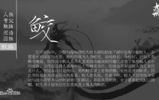 《斗罗大陆3龙王传说》免费阅读指南与内容解析