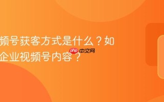 企业视频号获客方式是什么？如何优化企业视频号内容？
