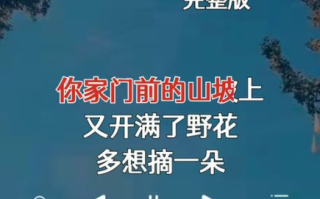 《夜空中最亮的星》C调吉他谱解析与演奏技巧