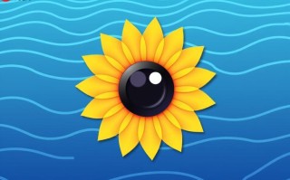 向日葵客户端怎么进行远程Mac控制_向日葵客户端远程Mac控制操作方法