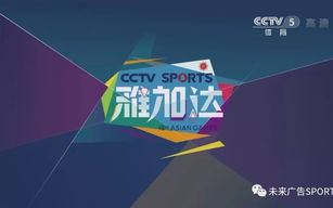 CCTV5+在线直播观看指南-正在直播的精彩赛事不错过
