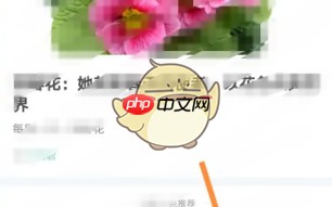《形色》权限设置方法