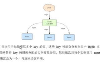 imToken钱包恢复教程：从备份到安全验证全解析