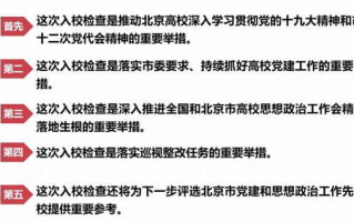 律师男友很难撩1v1阅读技巧与策略解析