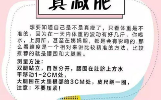 我的漂亮的瘦子5减肥攻略-科学减重与健康管理
