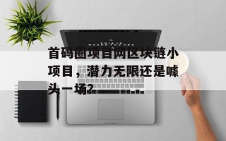 首码圈项目网区块链小项目，潜力无限还是噱头一场？