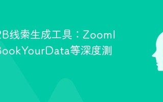 顶级B2B线索生成工具：ZoomInfo、BookYourData等深度测评