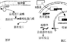 为何"我们不能是朋友"-关系界限的探讨与处理方法