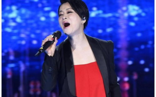 揭秘毛阿敏：她的音乐人生与个人故事