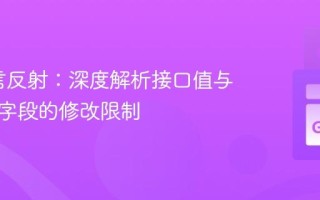 Go语言反射：深度解析接口值与结构体字段的修改限制