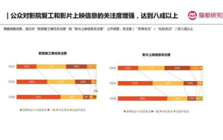 影达影视，高品质影视制作的成功秘诀-全面解析制作流程与市场策略