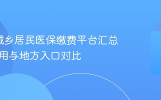 2026城乡居民医保缴费平台汇总 全国通用与地方入口对比