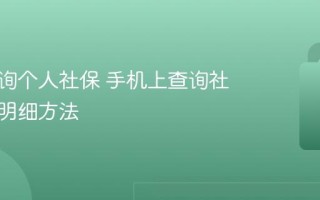 怎么查询个人社保 手机上查询社保缴费明细方法