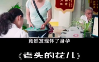 漂亮的保姆5完整版-专业家政服务解决方案解析