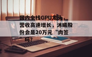 国内全栈GPU龙头，营收高速增长，沐曦股份会是20万元“肉签”吗？