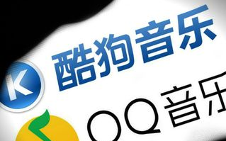 今天高清视频免费播放大全，享受视觉盛宴-全面攻略解析
