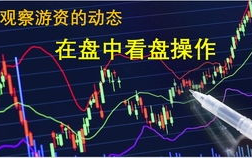 日本MV字幕免费观看全攻略-合法资源与优化搜索技巧