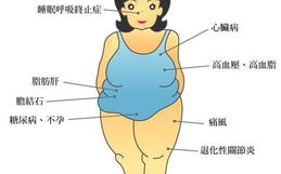 我的漂亮的瘦子,科学减肥塑形-健康瘦身方法解析