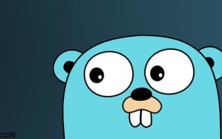 Golang math.Abs参数报错怎么办 Golang绝对值类型转换技巧