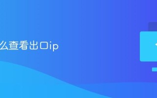 电脑怎么查看出口ip