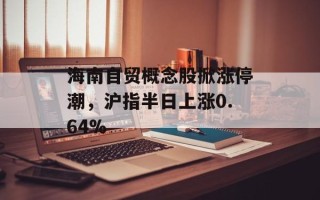 海南自贸概念股掀涨停潮，沪指半日上涨0.64%