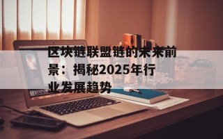 区块链联盟链的未来前景：揭秘2025年行业发展趋势