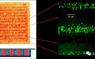 食人鱼3D打印技术,现代制造业的创新解决方案-技术解析与应用前瞻