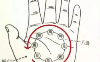 见效最快的延时土方法一览-传统技巧与实践指南