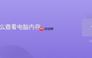 联网怎么查看电脑内存