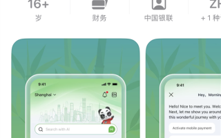 中国银联正式发布“你好！中国”APP 图标是大熊猫