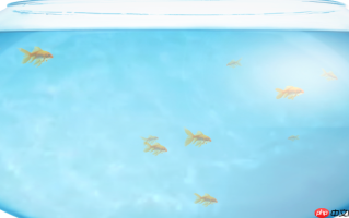 fishbowl鱼缸官网 fishbowl性能测试网站