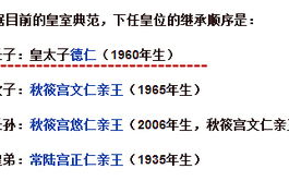 极致占有,生活品质提升-实现占有与平衡的解决方案解析