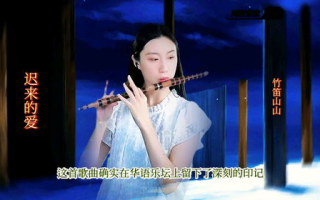揭秘歌手陈红：才华与情感的交织