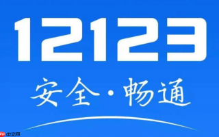 12123网页版登录官网 交管12123在线查询平台
