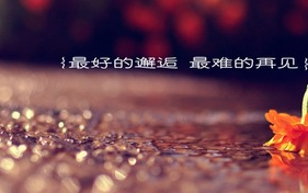 句句都是爱, 文字表达的情感深度解析