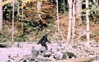 中国远古巨猿 身高3米史上最大灵长类动物 为何20万年前突然灭绝？