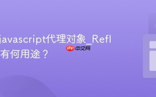 什么是javascript代理对象_ReflectAPI有何用途？