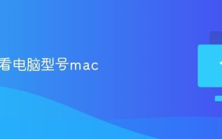 怎么查看电脑型号mac