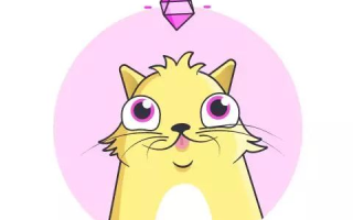 国产加密猫如何在区块链热潮中脱颖而出？