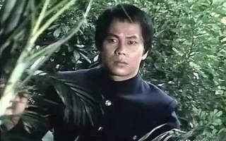 揭秘武术明星梁小龙：个人简历及资料大揭秘
