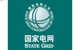网上国网能否查询新能源补贴_网上国网补贴政策与申领步骤【攻略】