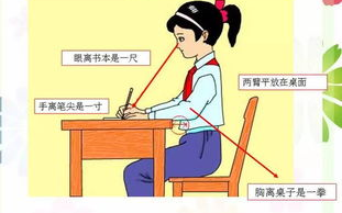 国家禁止练习六步拳,揭秘背后原因及应对策略