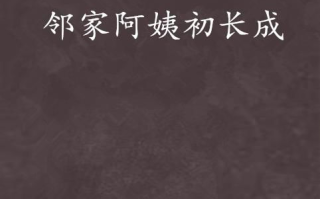 邻家美姨免费阅读全文，网络文学新趋势解析
