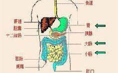 克罗恩病常见症状及其影响-全面症状解析