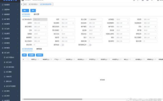 进出帐管理软件,提升财务管理效率-全面功能解析