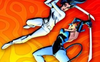 纯熟系列Diana Prince,提升工作效率的利器-功能与优势解析