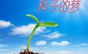 宝贝到来前的准备与期待-迎接新生命的全面指南