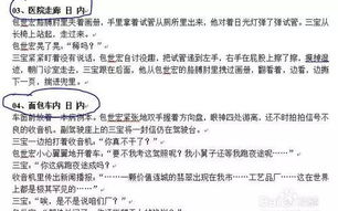 电影金三角行动，剧本创作与拍摄制作的完美融合