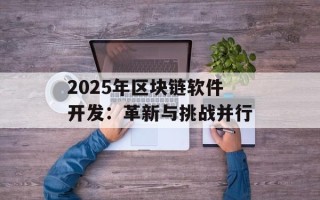 2025年区块链软件开发：革新与挑战并行