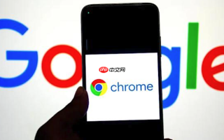 谷歌浏览器国际版APP入口 谷歌在线浏览器全球版入口